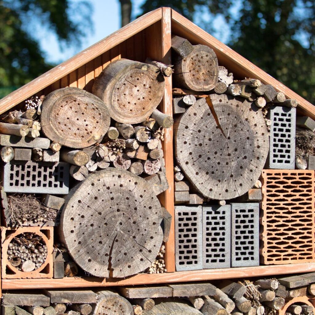 Insectenhotel