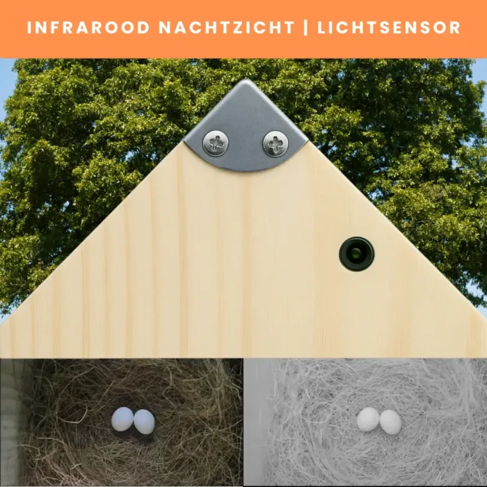 Vogelhuisje met Camera NESTIQ - Afbeelding 3