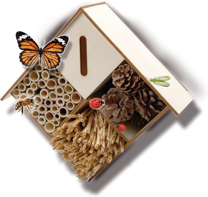 SES Creative Explore 25008 | DIY Insectenhotel - Afbeelding 2
